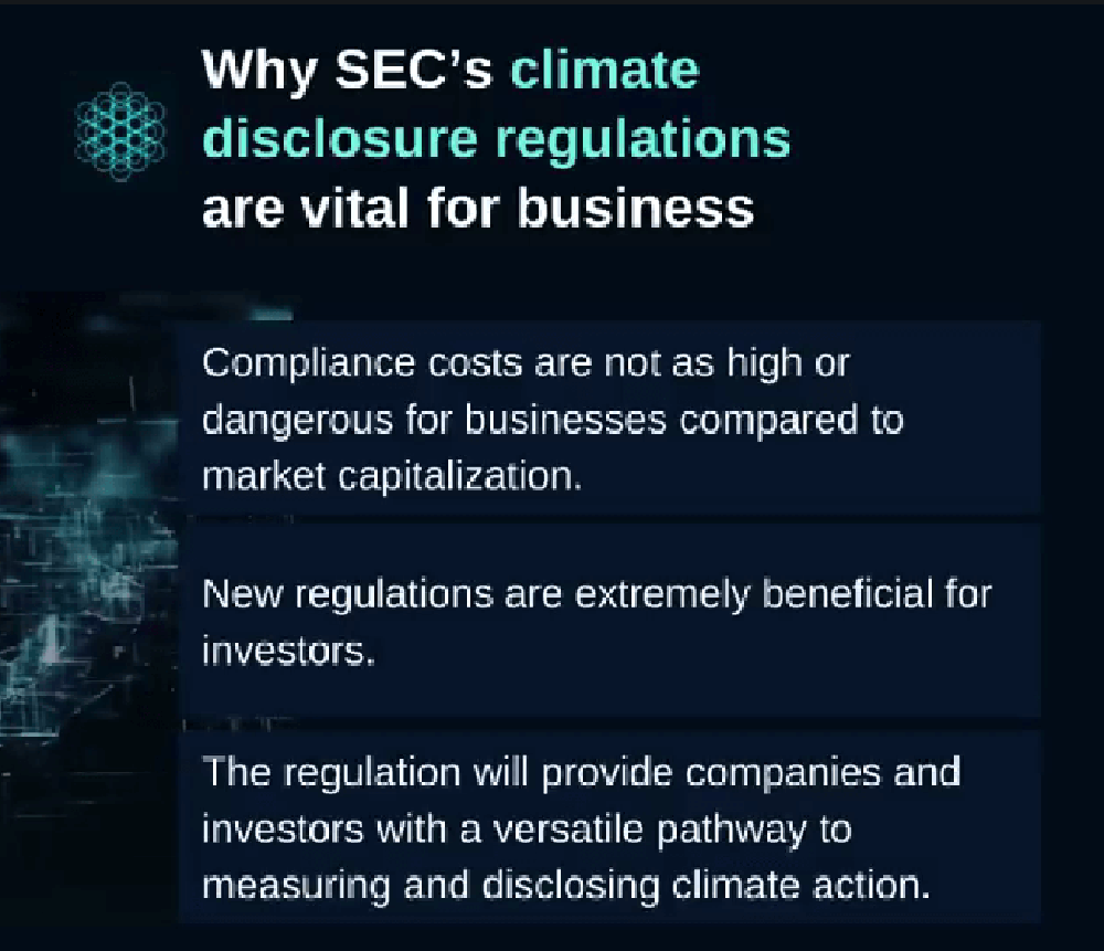 Verdana-Why SEC's